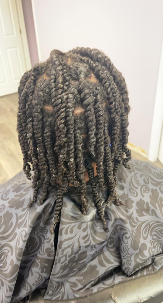 Natural Syles/2 Strand Twists