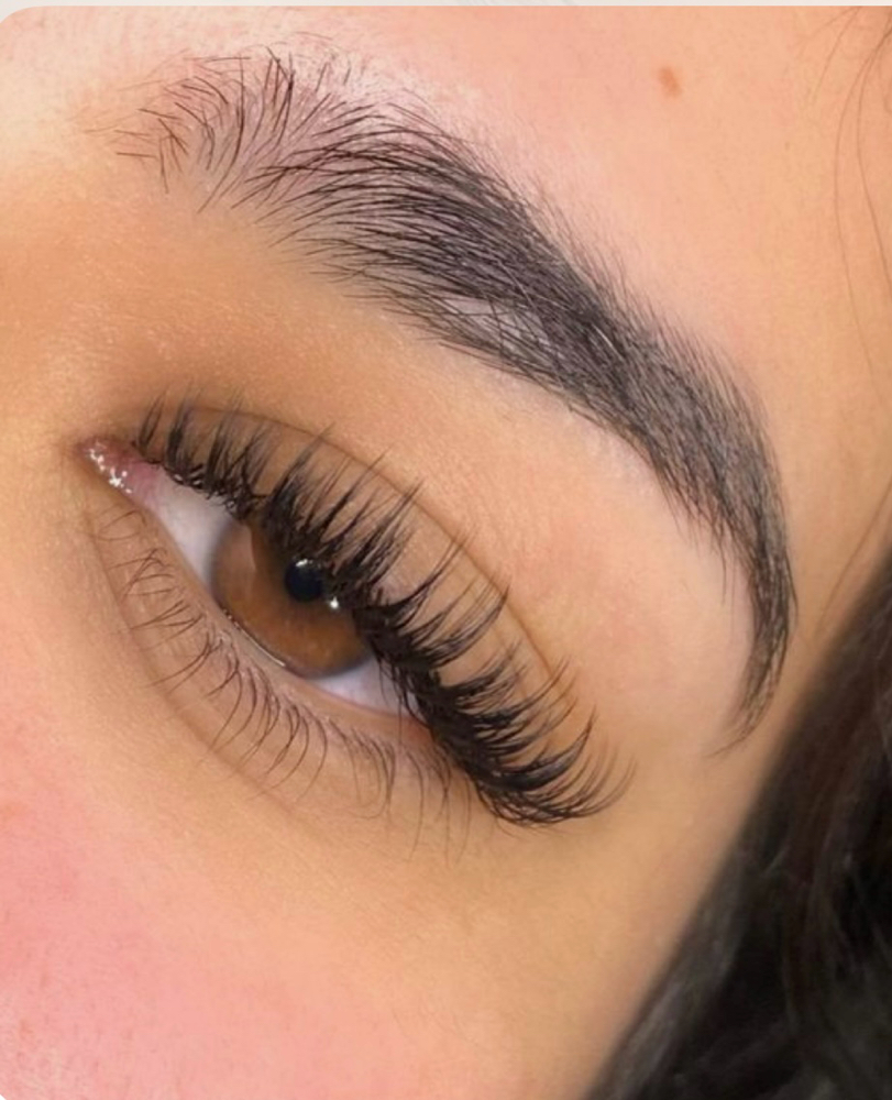 Wispy Wet Refill