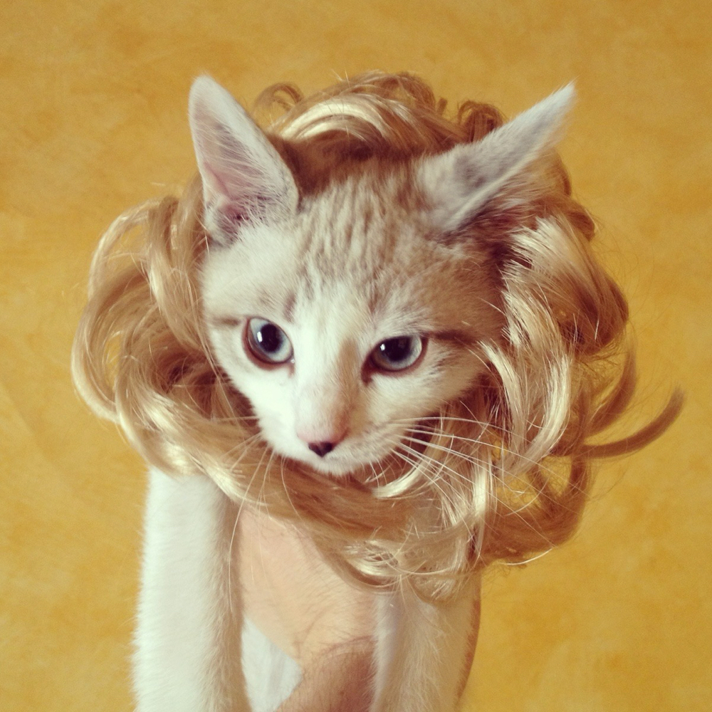 WASH + BLOWOUT at theonlygracetoeverexist in Dallas, TX