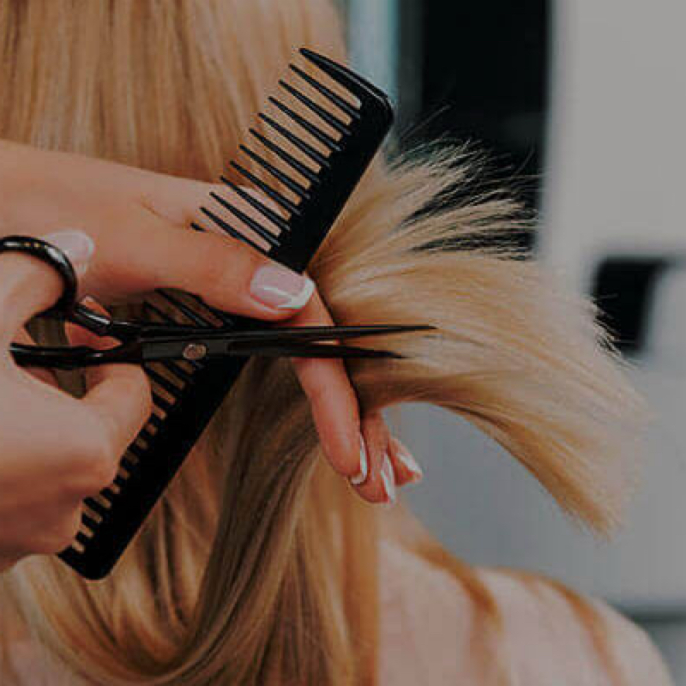 Women’s Haircut at Fades & Foils Hair Studio in Granton, WI