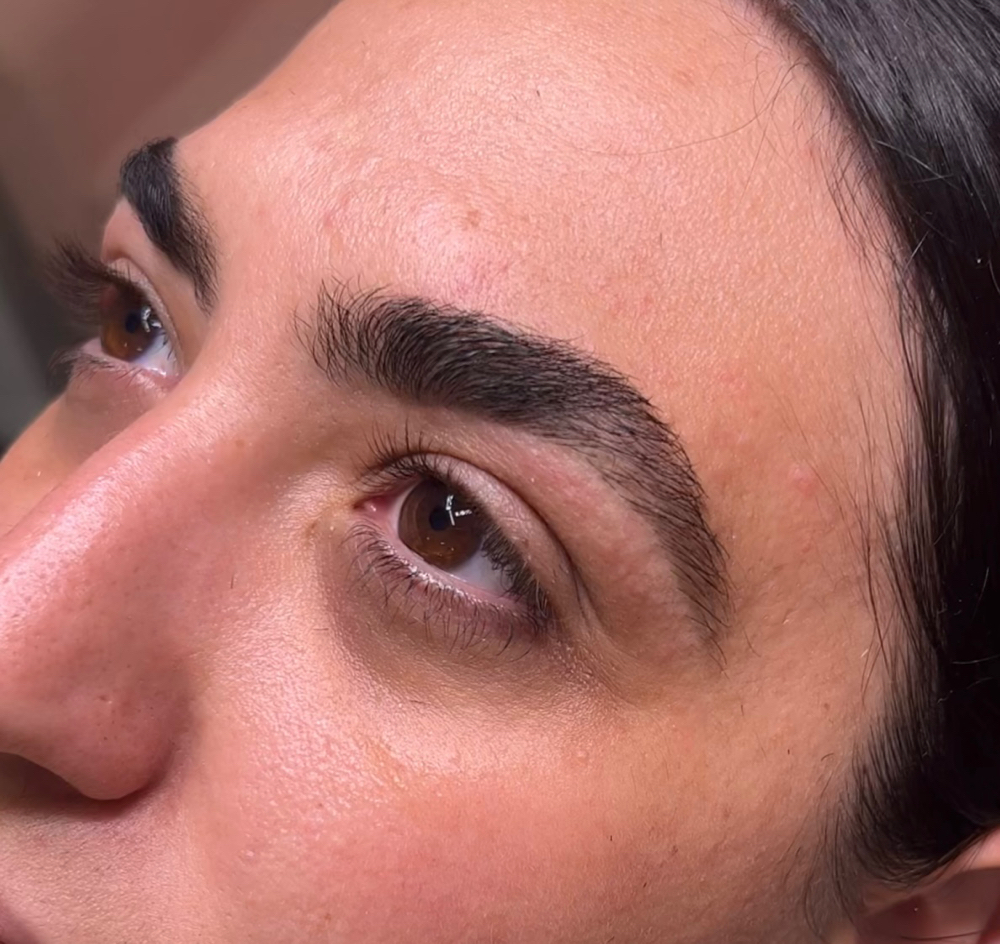 RETURNING CLIENT Brow Tint