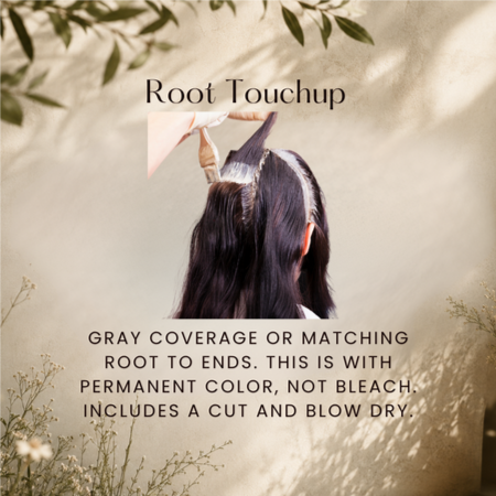 Root Touchup at Ashlee Holley Hair in San Marcos, TX