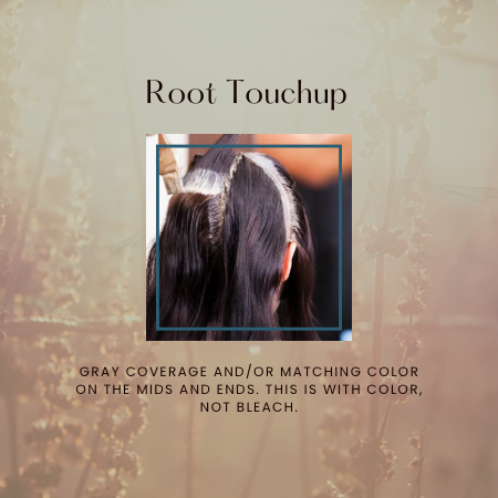 Root Touchup