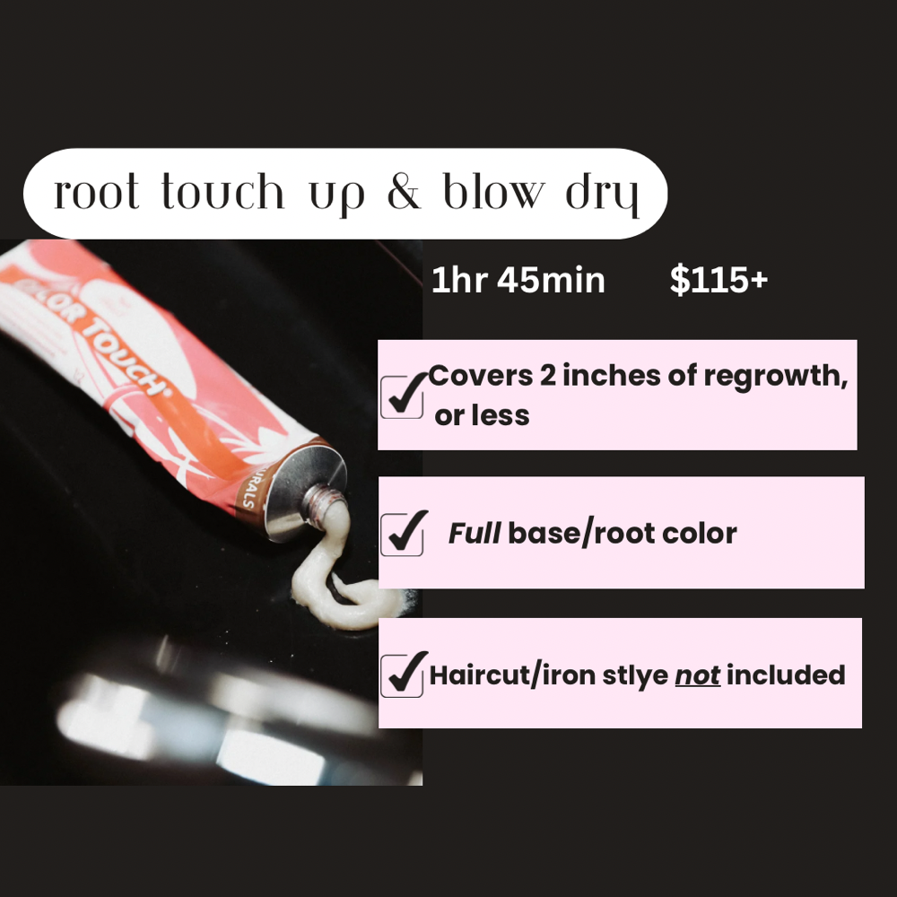Root Touch Up & Blow Dry