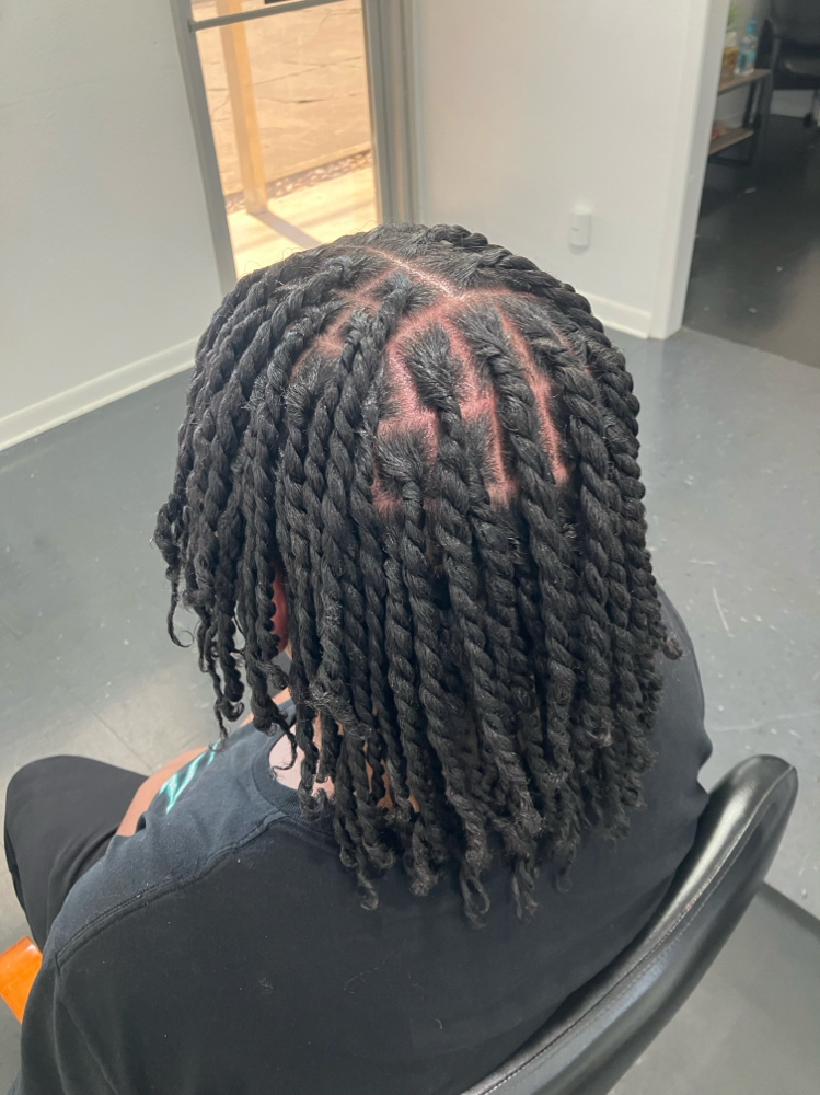 Two Strand Twists