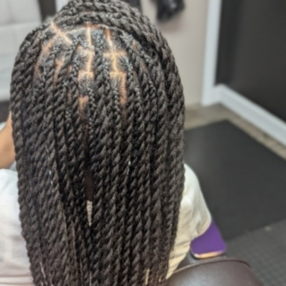 Two Strand Twist (Natural Hair) at Stylo Sense LLC in Memphis, TN
