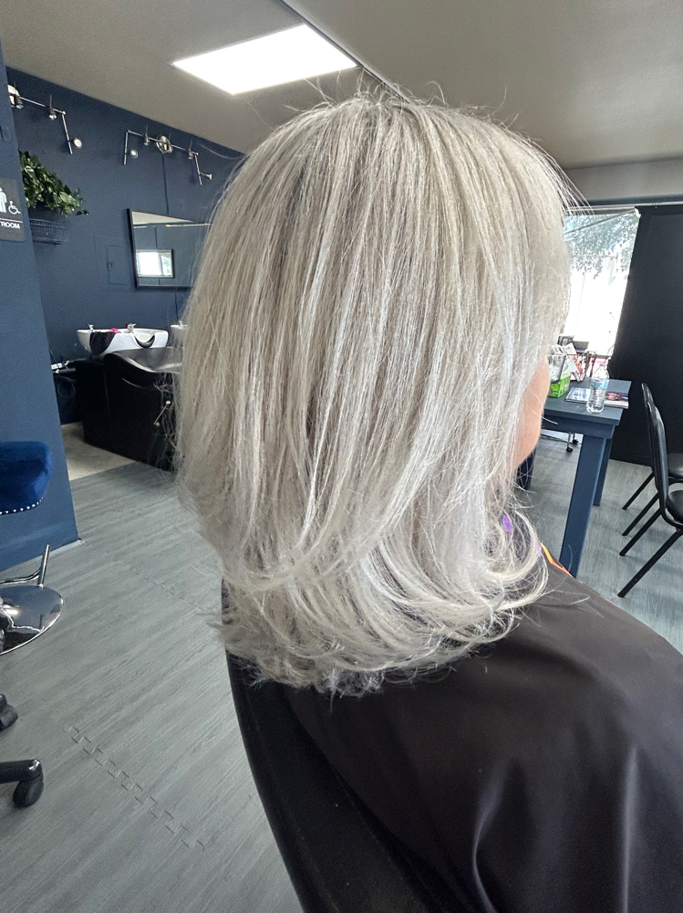 Transition Of Gray Hair