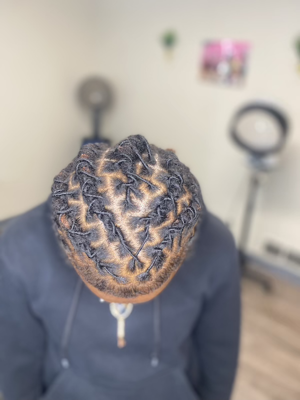 Starter Locs