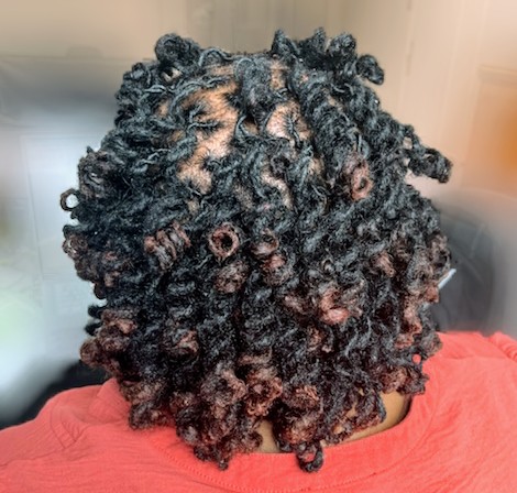 KariZmatiK Micro Loc Retwist