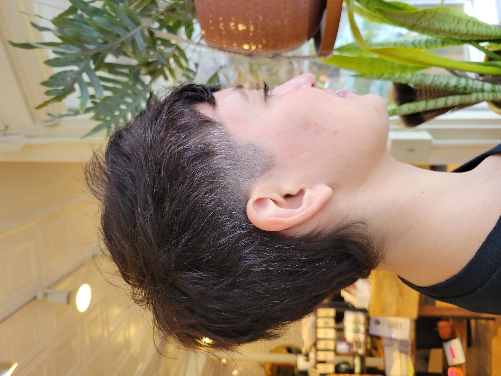 Short Haircut