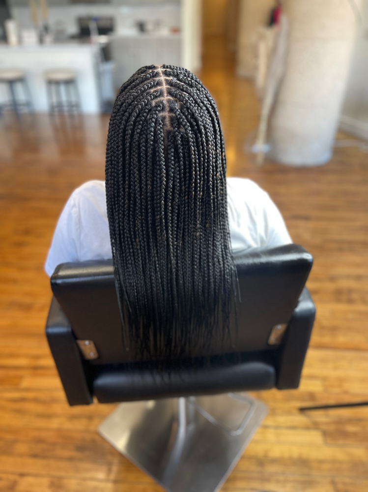 Small Box Braids
