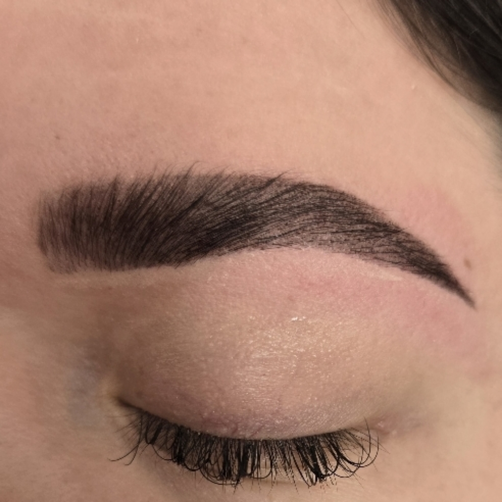 Hybrid Brow With Lamination (Nancy) at Metzli Nail Bar & Spa in Temple, PA