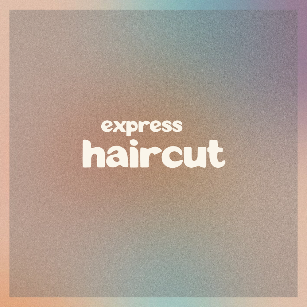 Express Haircut