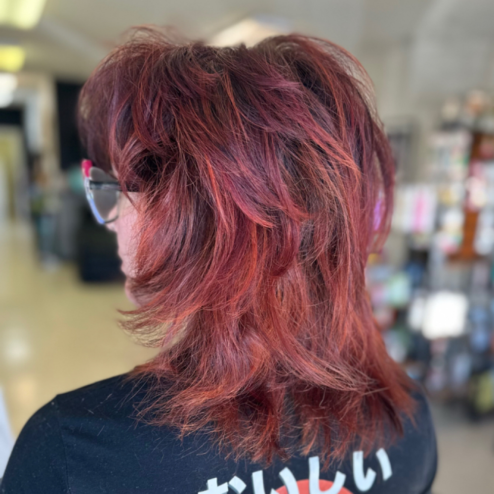 Detailed Haircut and Blowdry at Expressions Salon & Studio in Anniston, AL