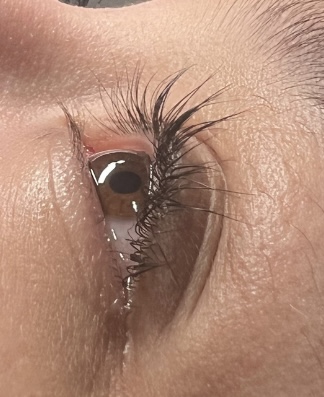 Lash Lift And Tint