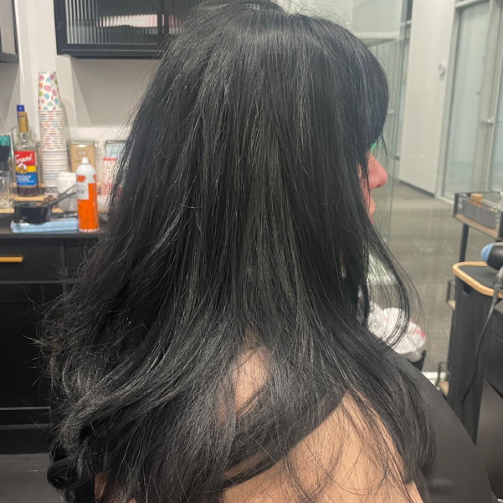 Full Color at Safirehairstyles in Santa Clarita, CA