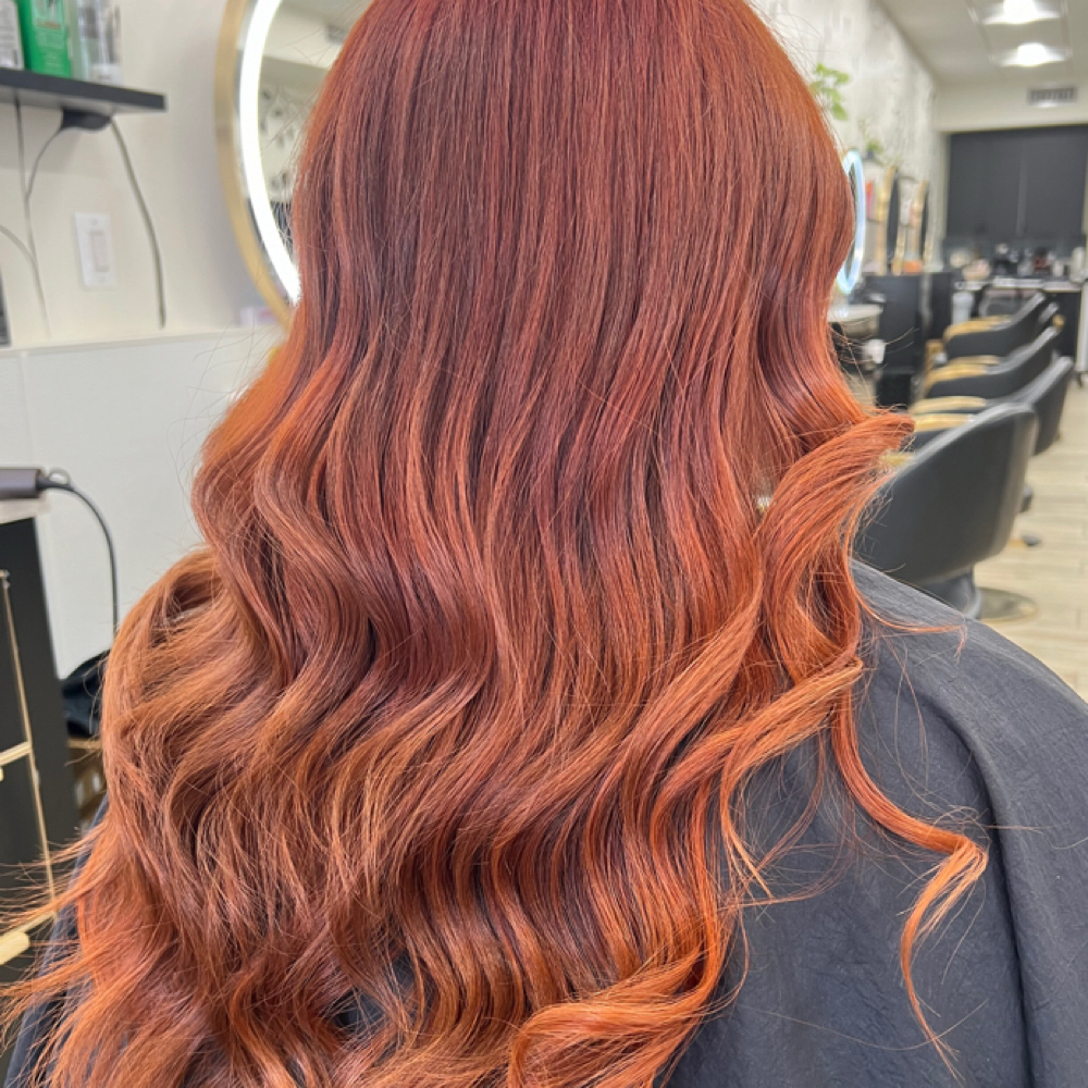 All Over Color at Perfect lift studio in Woodbridge, VA