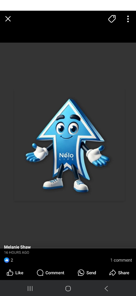 Nelolife member 2 Hour session