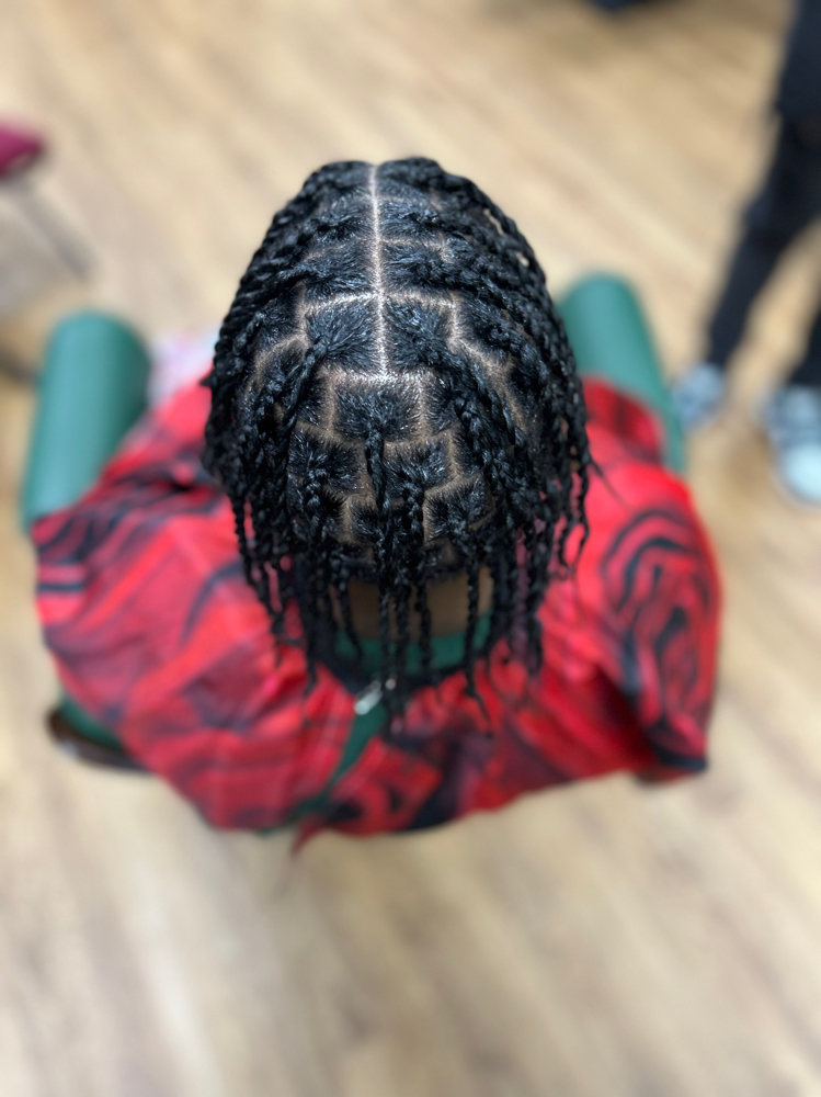 Starter Locs ( Two Strand Twist )