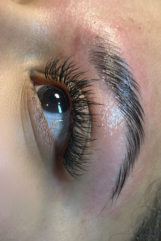 Brow Lamination