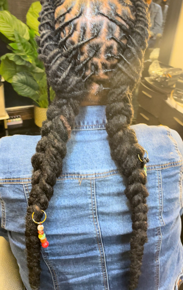 2Braid Pony Style & LocMaintenance
