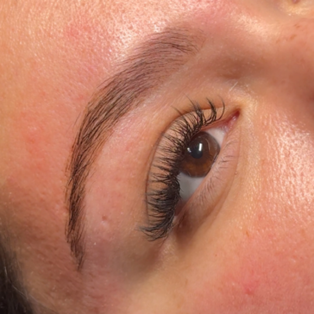 Signature Brow Lamination at Anaiz Beauty in West Palm Beach, FL