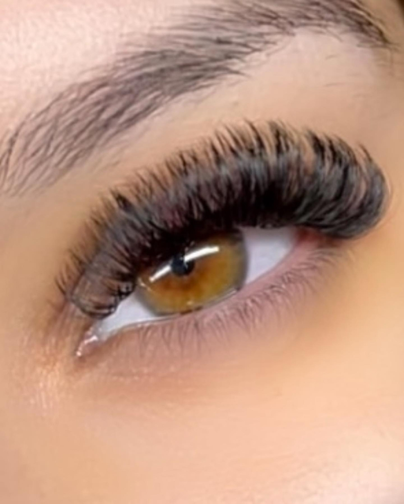 Volume Lashes Full Set