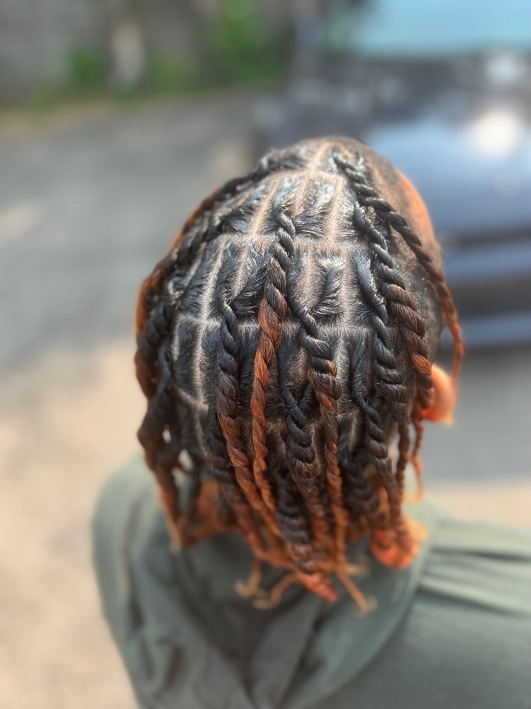 Two strand Twist/Comb Twist