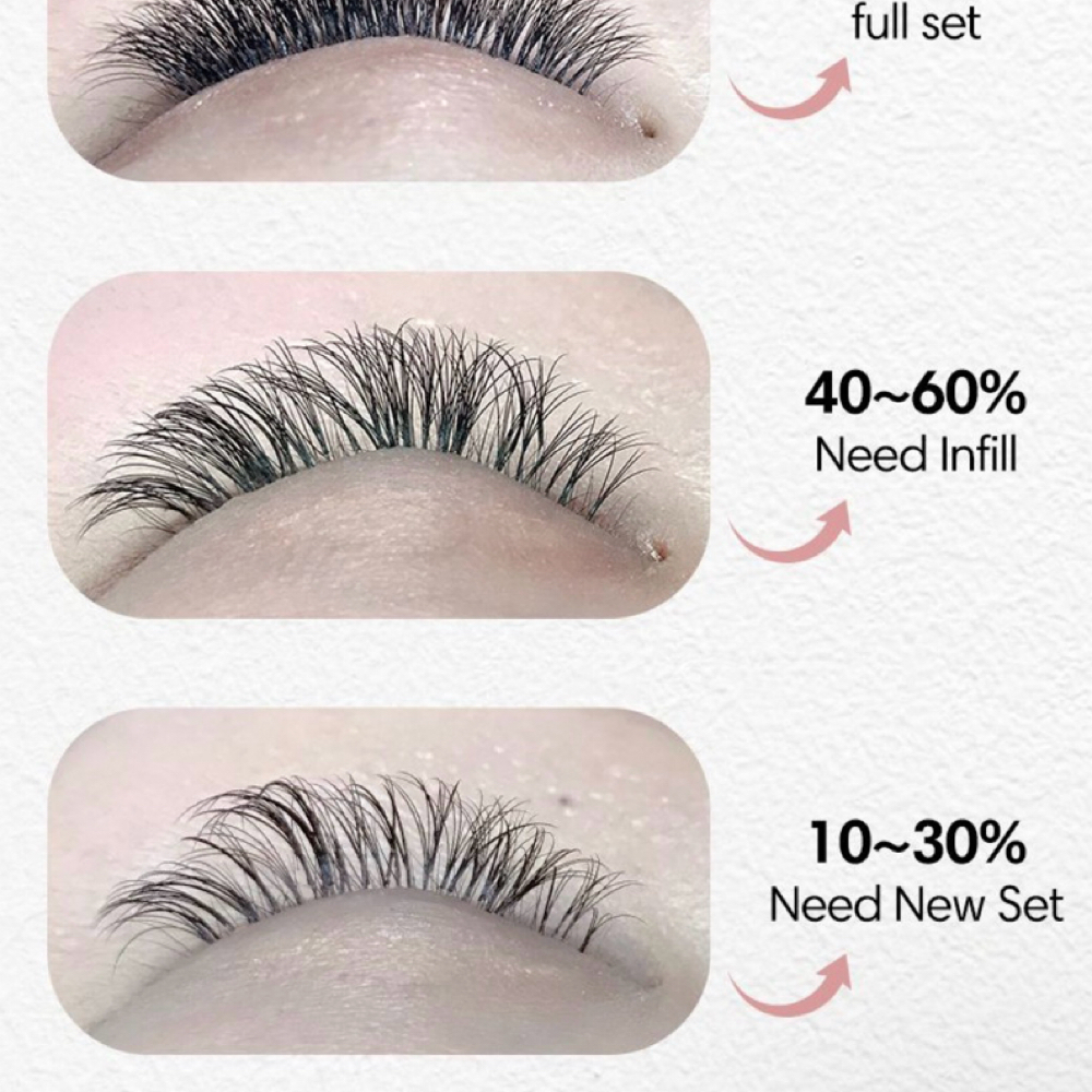 2 Weeks Fill - Volume fill at Marie’s Brows And Lashes in Tyler, TX