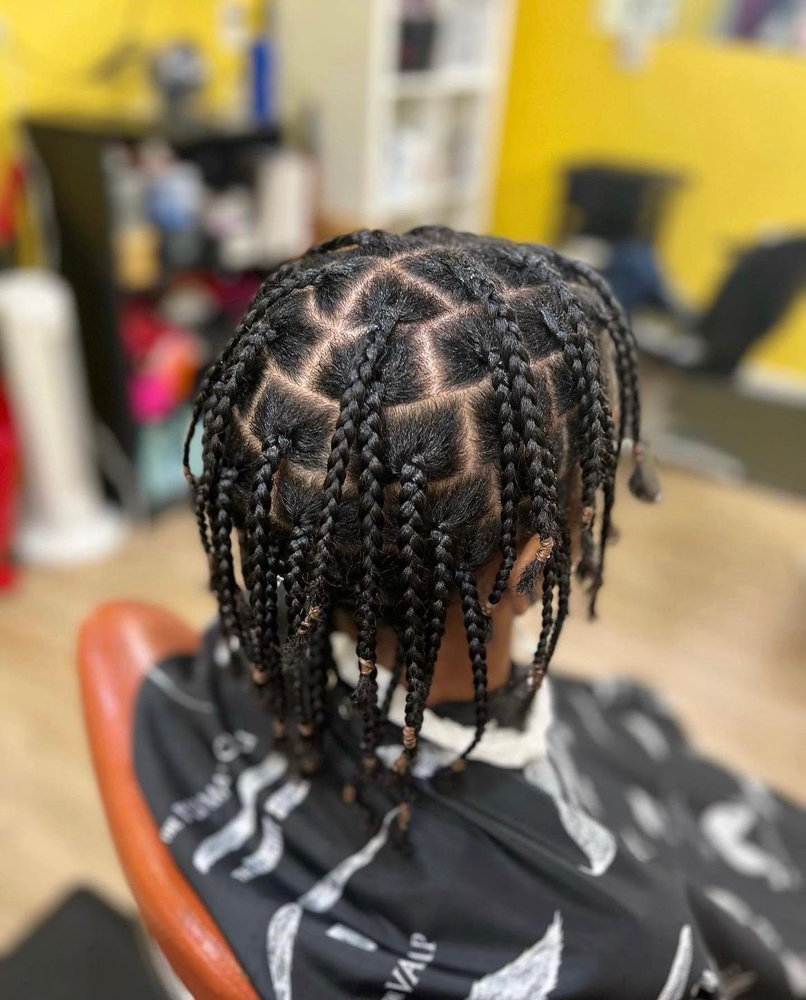 Single Braids