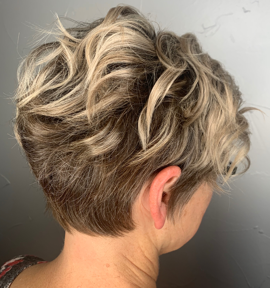 Partial Highlight (Fine Hair)