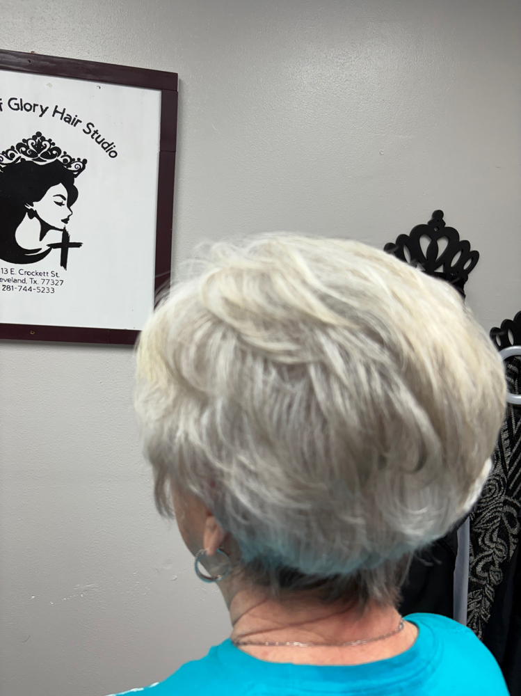 Women's Haircut & Style 55 &up
