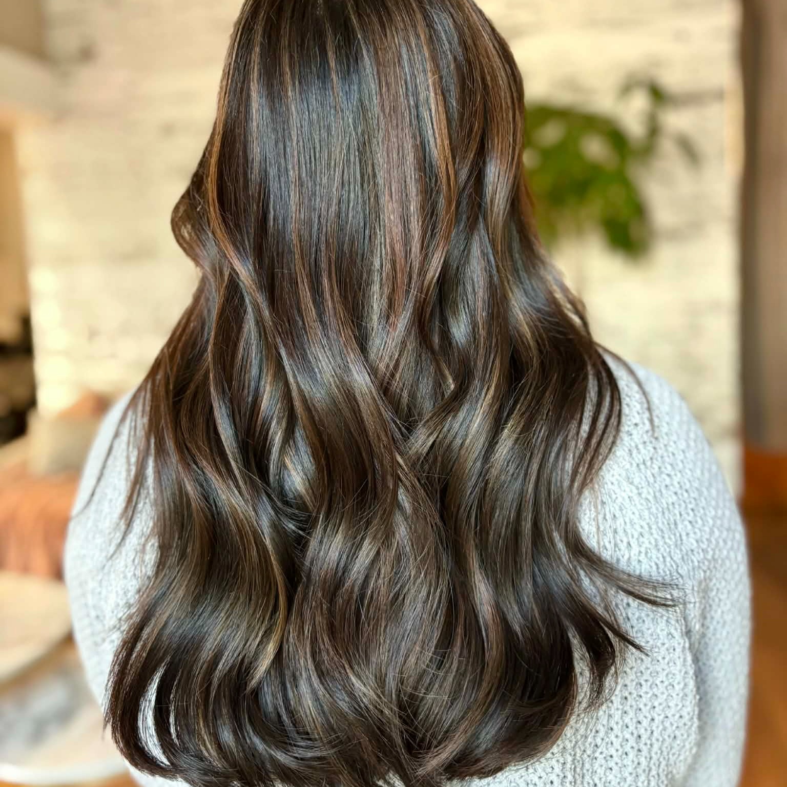 The Protégé Signature Blow Out