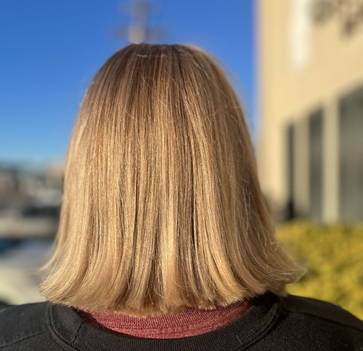 Women's Hair Cut