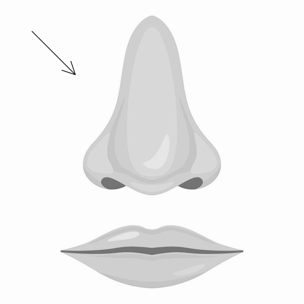 Nostril - Wax