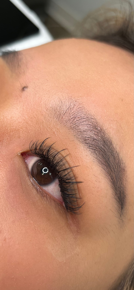 Hybrid 2 Week Fill