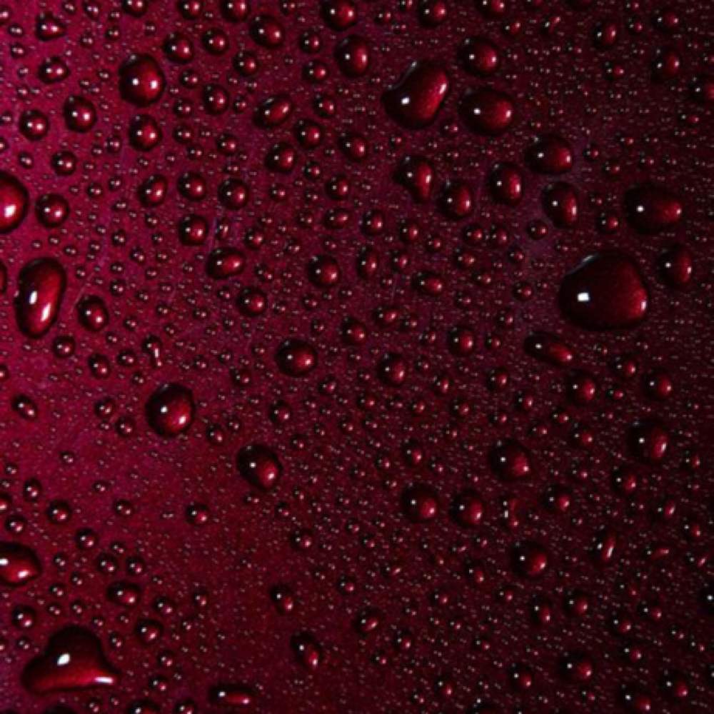 Full Blonding + Style at Marissa Hodge in Pensacola, FL