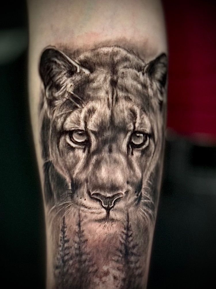 ***BLACK & GRAY***