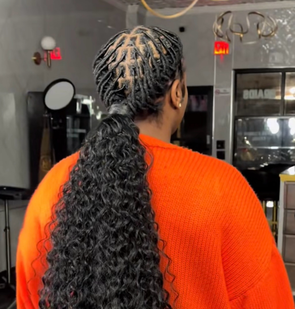 Curly Pony