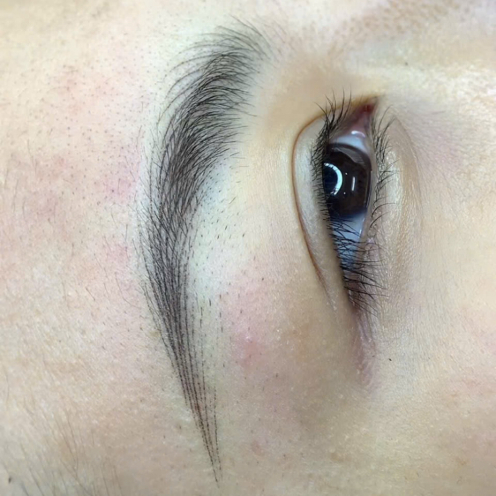 Promotion NANO HAIRSTROKES INITIAL at AURORABROWS in Cocoa, FL