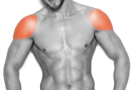IPL Shoulders