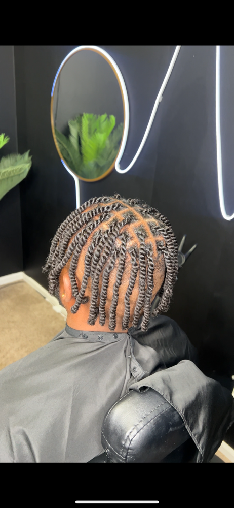 Two Strand Twist Men Style