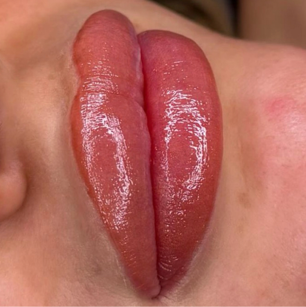 Lip Blushing 6 Month Color Boost at Linny @ Blade Babes Aesthetics in Hernando, MS