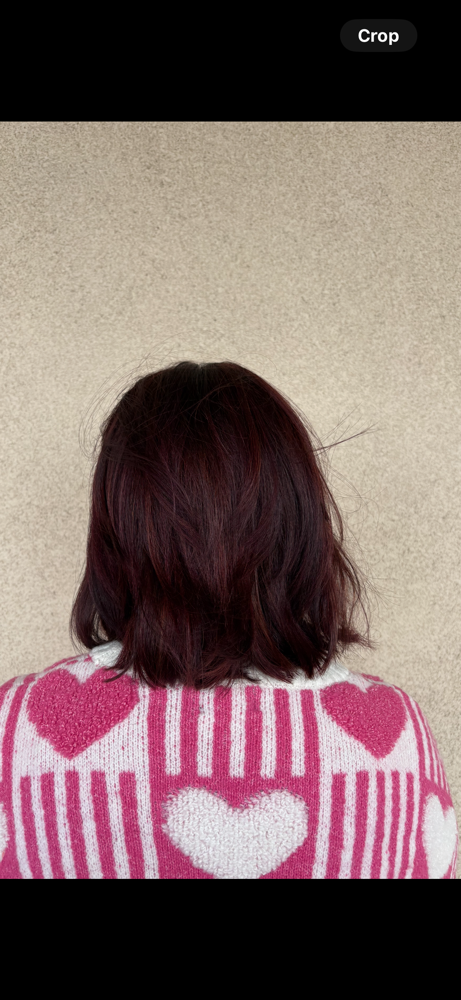 Root Touch-Up