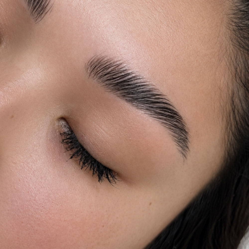 Brow Wax + Shape at Rose Gold Lash in Centerline, MI