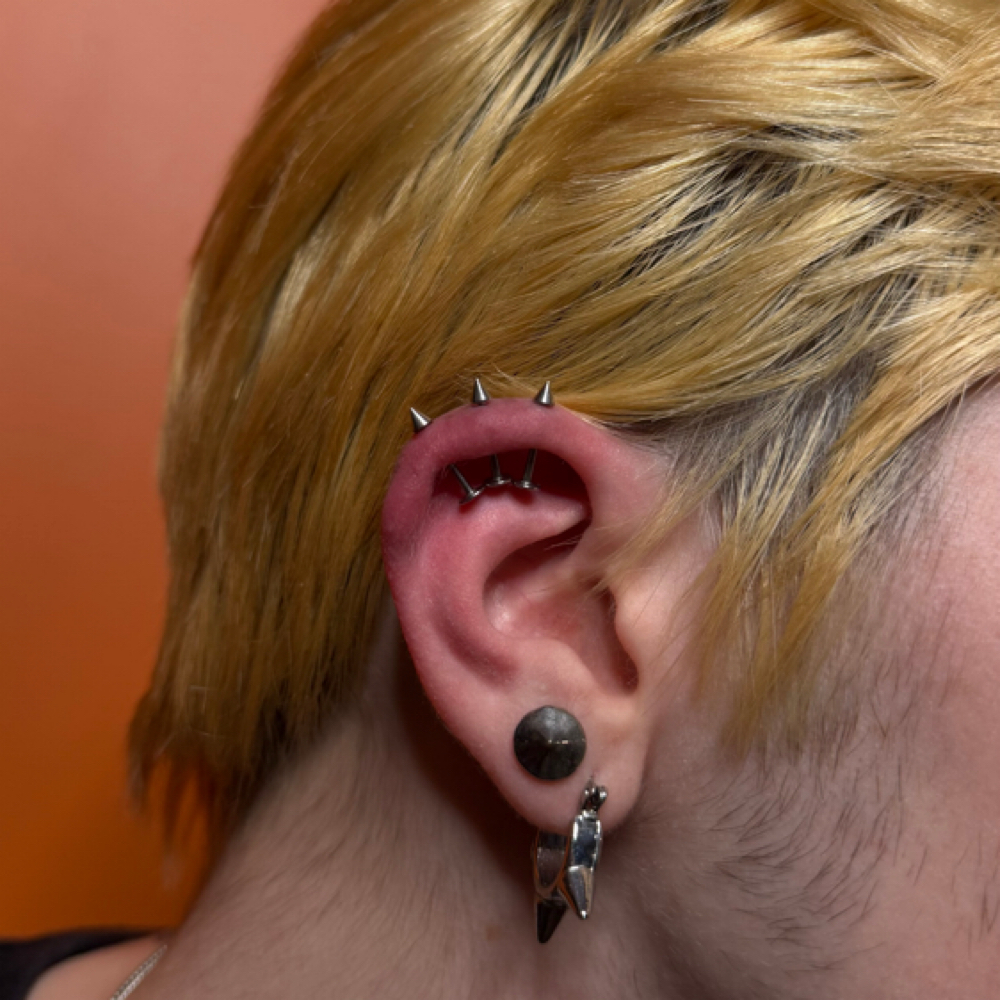 Vertical Triple Helix at Revision Body Art in Covina, CA