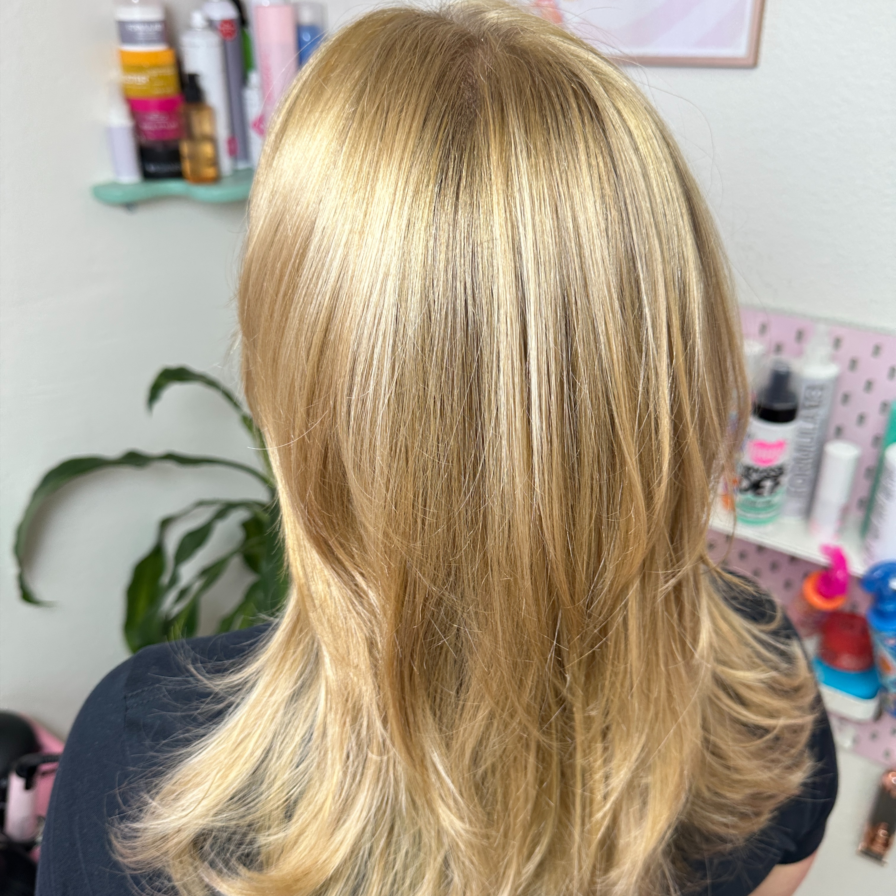 Full Highlight/Foiliage at ming schipper in San Jose, CA