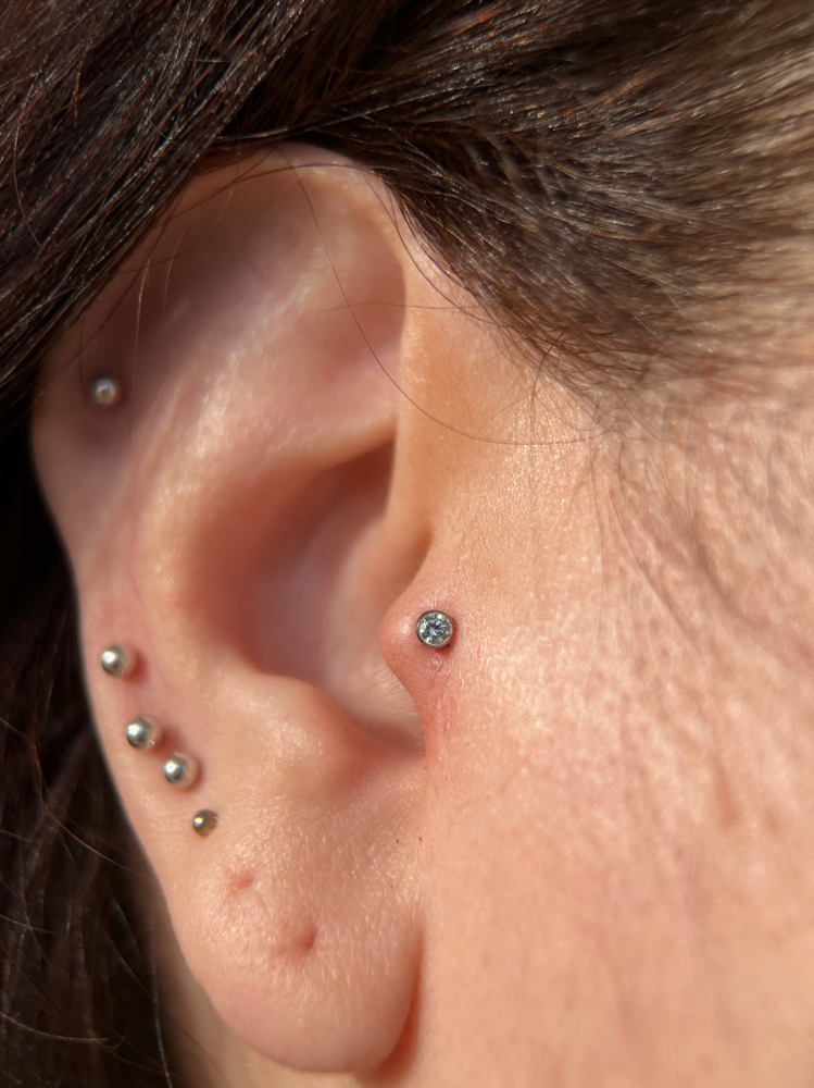 Tragus