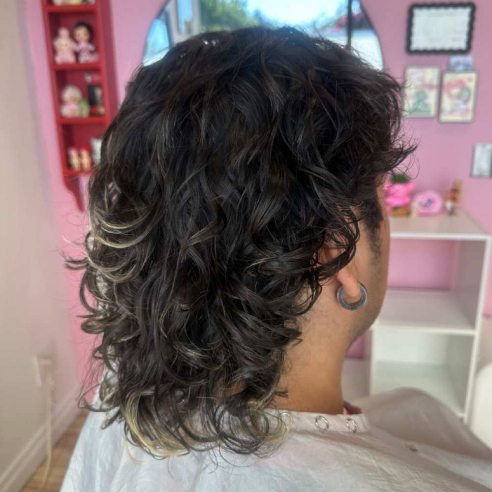 Custom Short Curly Haircut/Diffuse at My Curly Valentine in Vacaville, CA