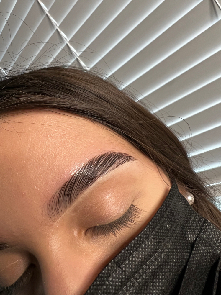 Brow Lamination Only